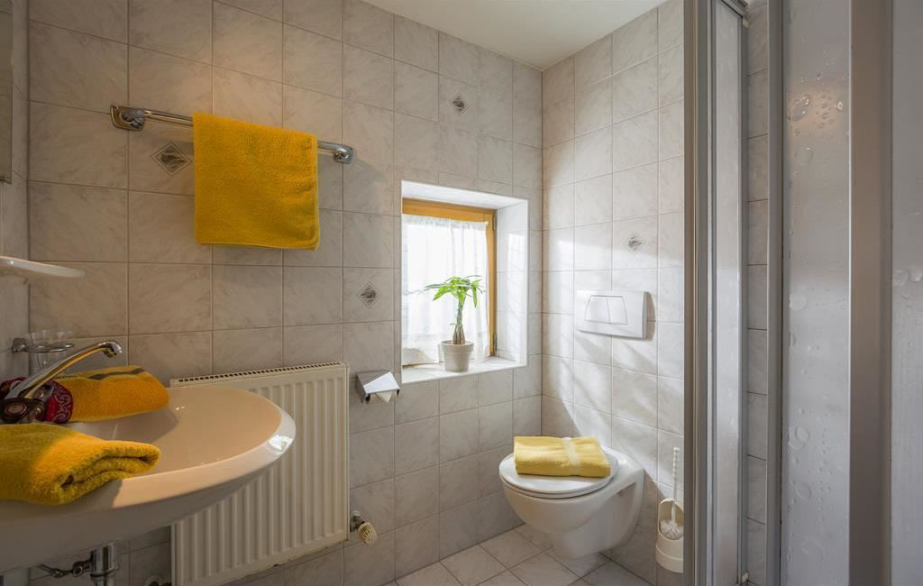 alpengasthof-schneeberg-chalet-schneeberg-zimmer-nr.-15-badezimmer
